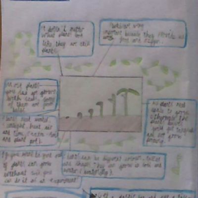 plants 2